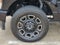 2025 Ford F-250SD Platinum