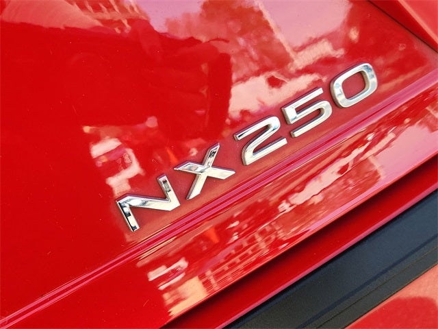 2024 Lexus NX 250 Premium