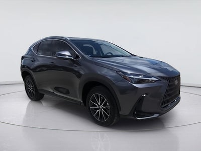 2024 Lexus NX NX 250 Premium