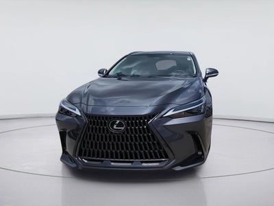 2024 Lexus NX NX 250 Premium