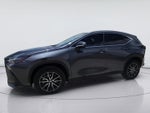 2024 Lexus NX NX 250 Premium