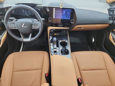 2025 Lexus NX 250 Premium