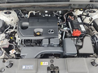 2025 Lexus NX 250 Premium