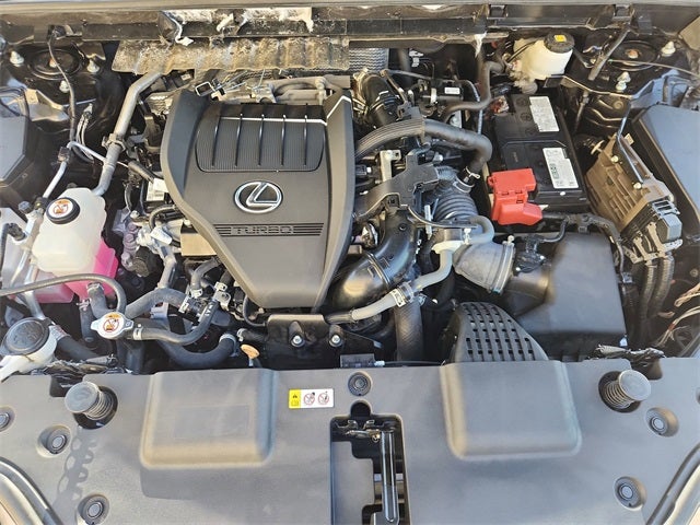 2023 Lexus NX 350 Premium