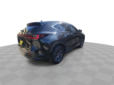 2023 Lexus NX 350 Premium