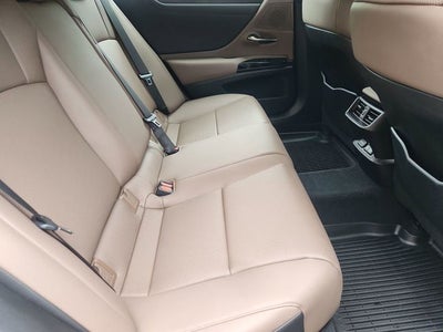 2024 Lexus ES 350