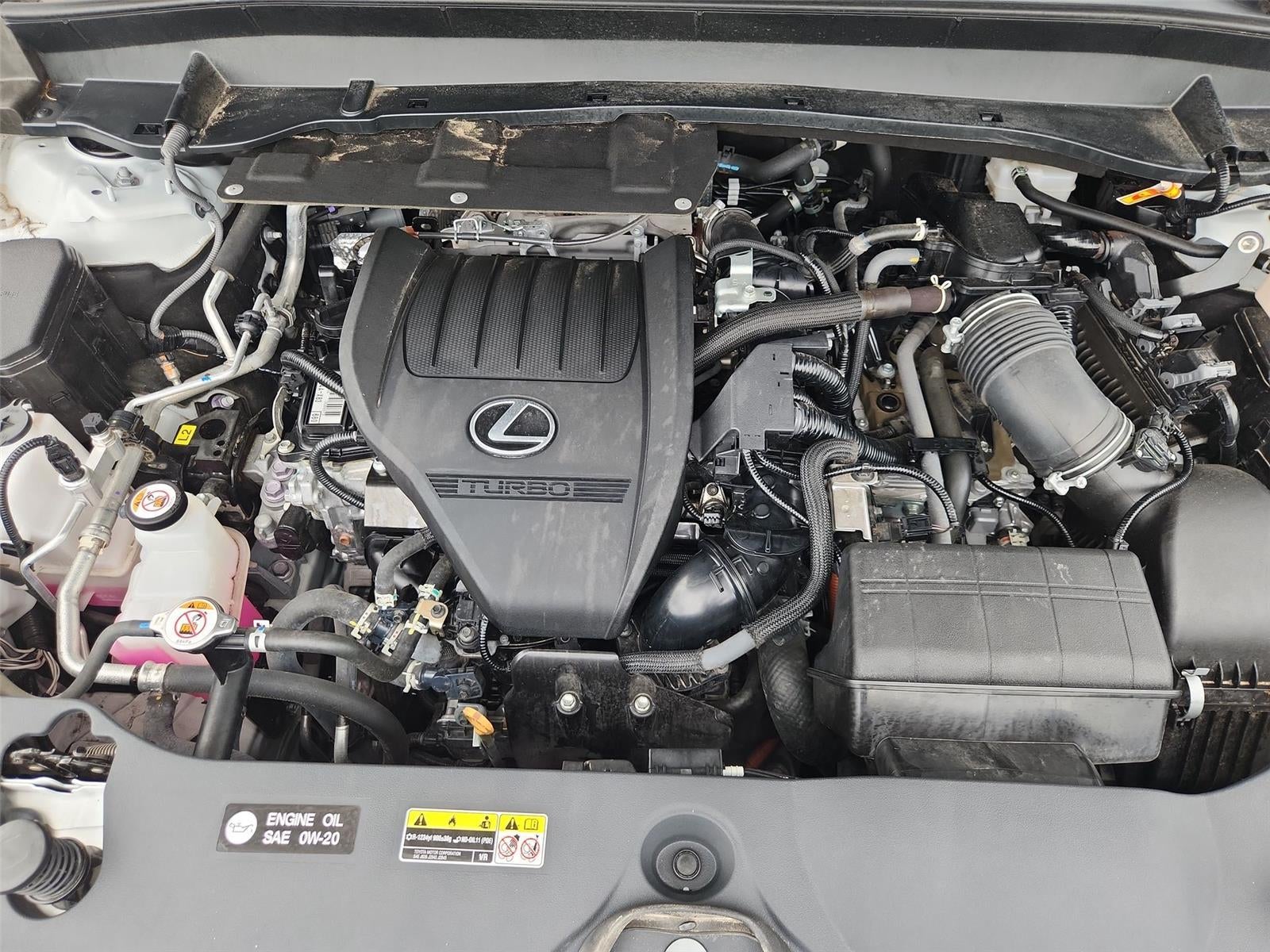2024 Y RX300 FSPORTPREM
