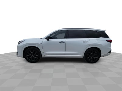 2024 Y RX300 FSPORTPREM
