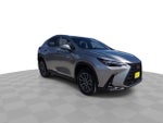 2024 Lexus NX 350h Premium