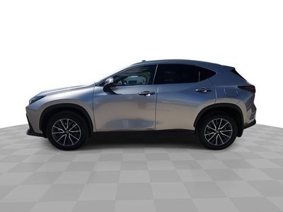 2024 Lexus NX 350h Premium