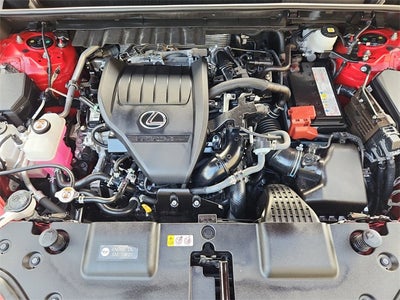 2024 Lexus NX 350 Luxury