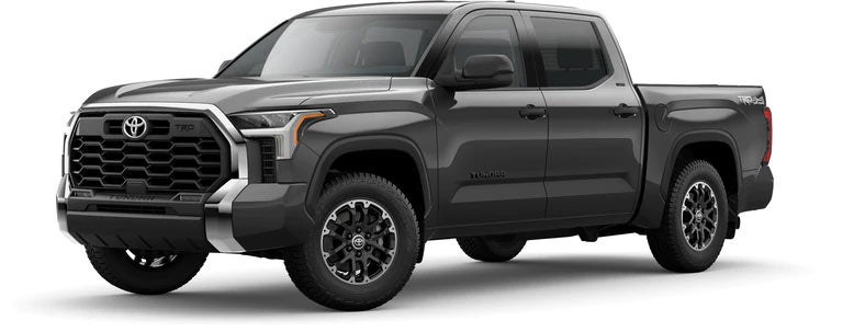 2022 Toyota Tundra SR5 in Magnetic Gray Metallic | Mac Haik Toyota in League City TX